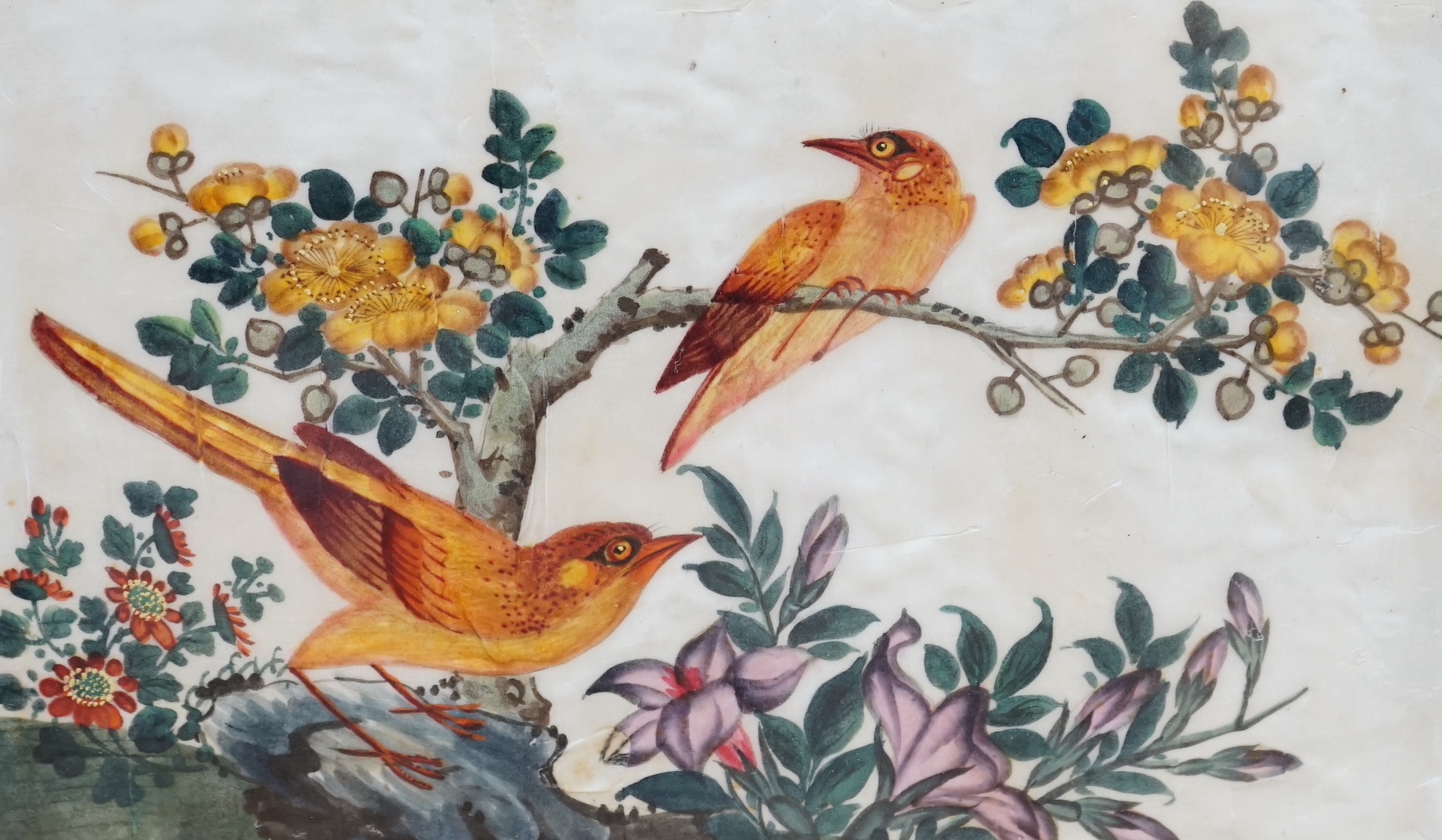 19th century Chinese school, pair of pith paper paintings, Birds of paradise amongst flowers, 17 x 28cm